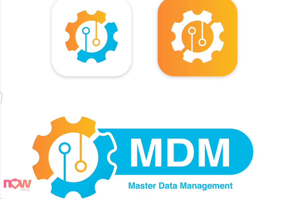 What Is Master Data Management (MDM data governance)?