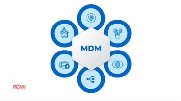 MDM Data Governance