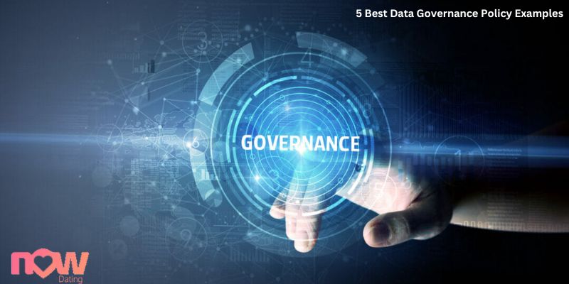 5 Best Data Governance Policy Examples