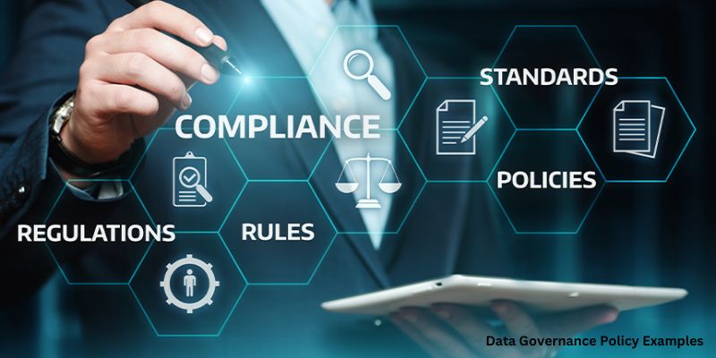  Data Governance Policy Examples
