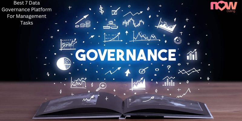 Best 7 Data Governance Platform For Management Tasks