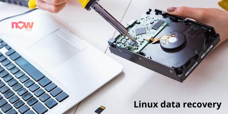 Linux data recovery