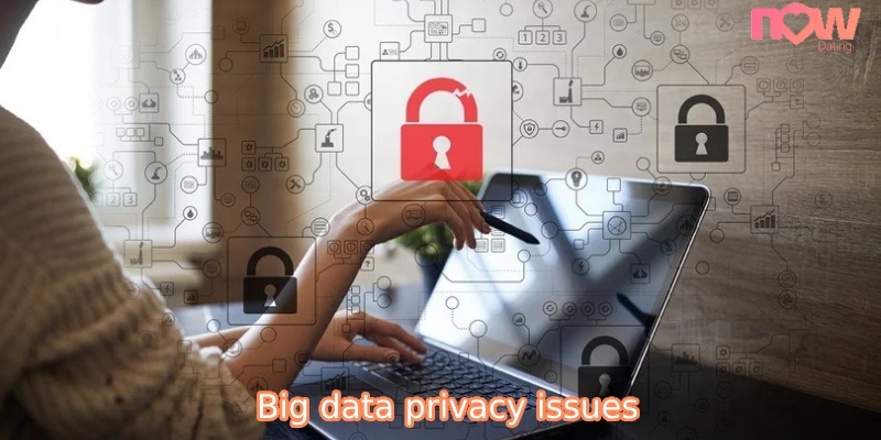 The importance of big data privacy issues