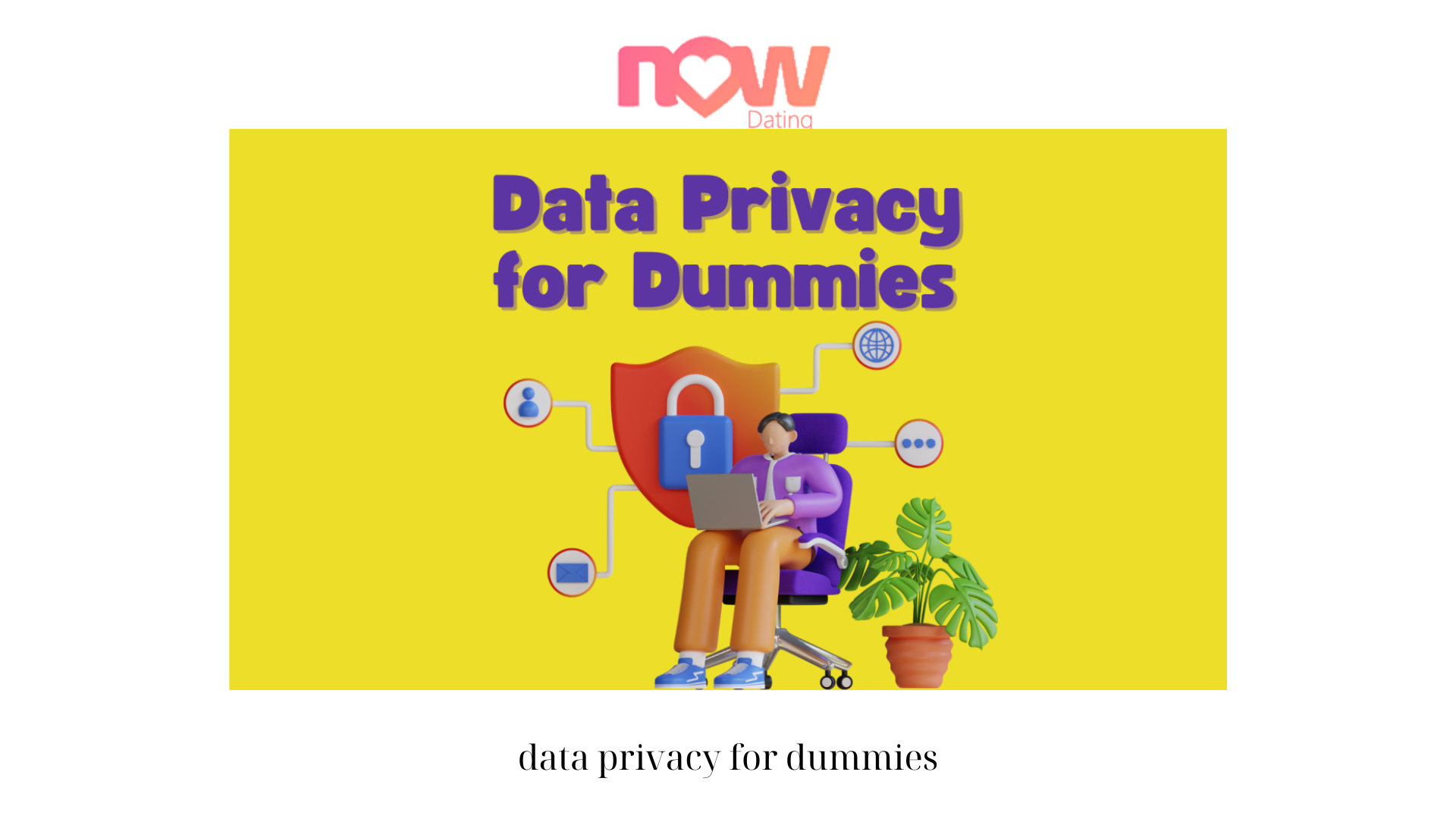 data privacy for dummies