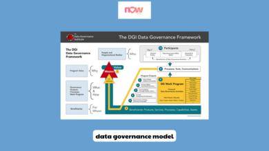 Data Governance Model Establishing Effective Data Management